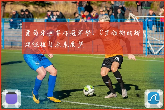 葡萄牙世界杯冠军梦:C罗领衔的辉煌征程与未来展望