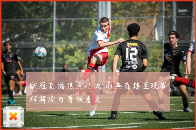 欧冠直播焦点对决 雨燕直播呈现赛程解读与晋级看点