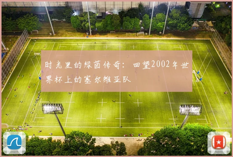 时光里的绿茵传奇：回望2002年世界杯上的塞尔维亚队