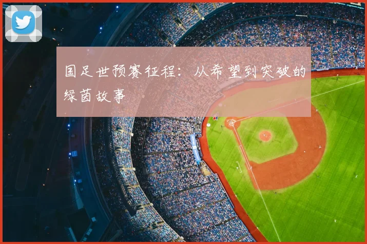 国足世预赛征程：从希望到突破的绿茵故事