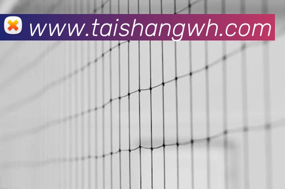 九游网页版入口平台生态图